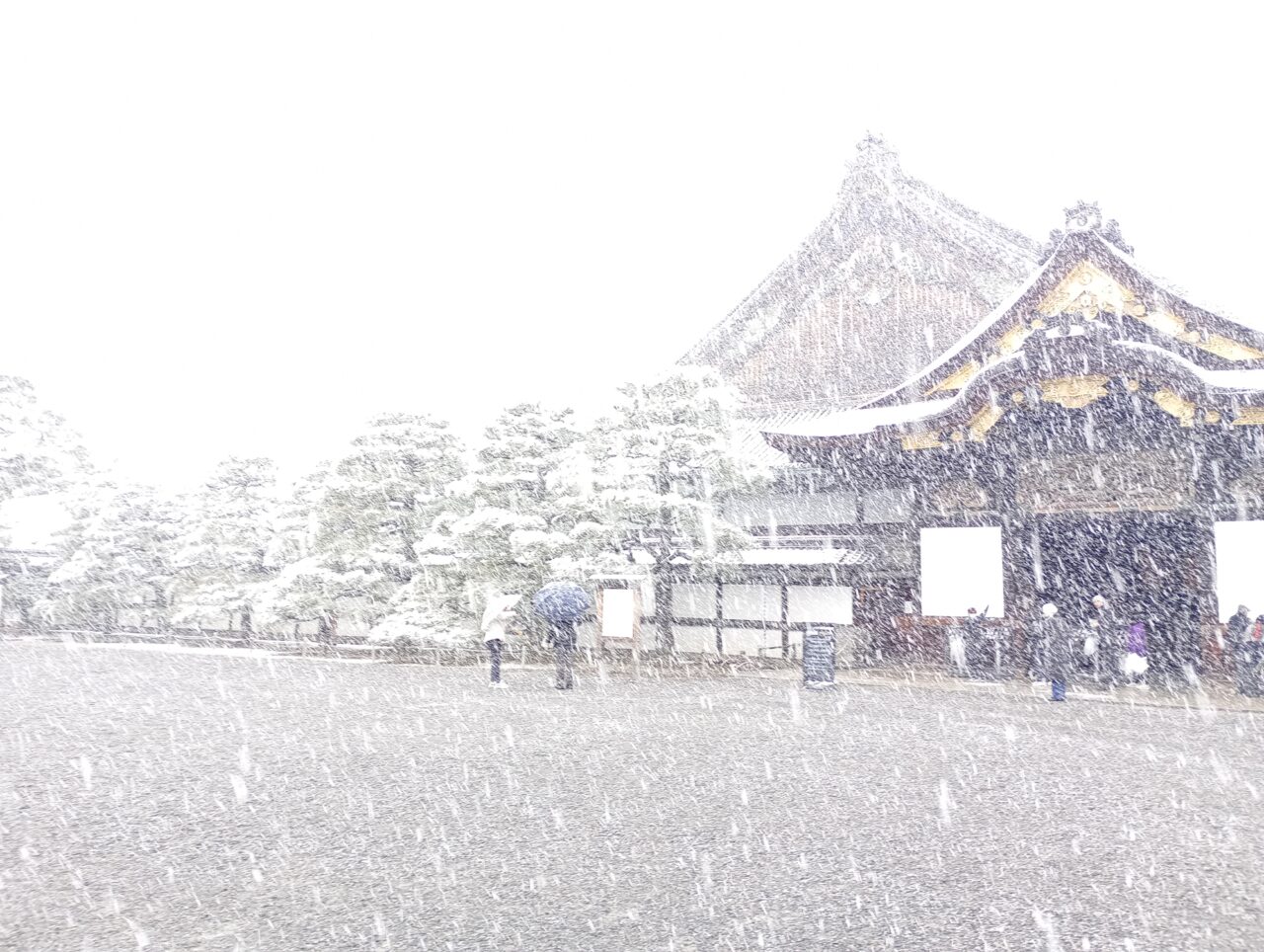 京都雪