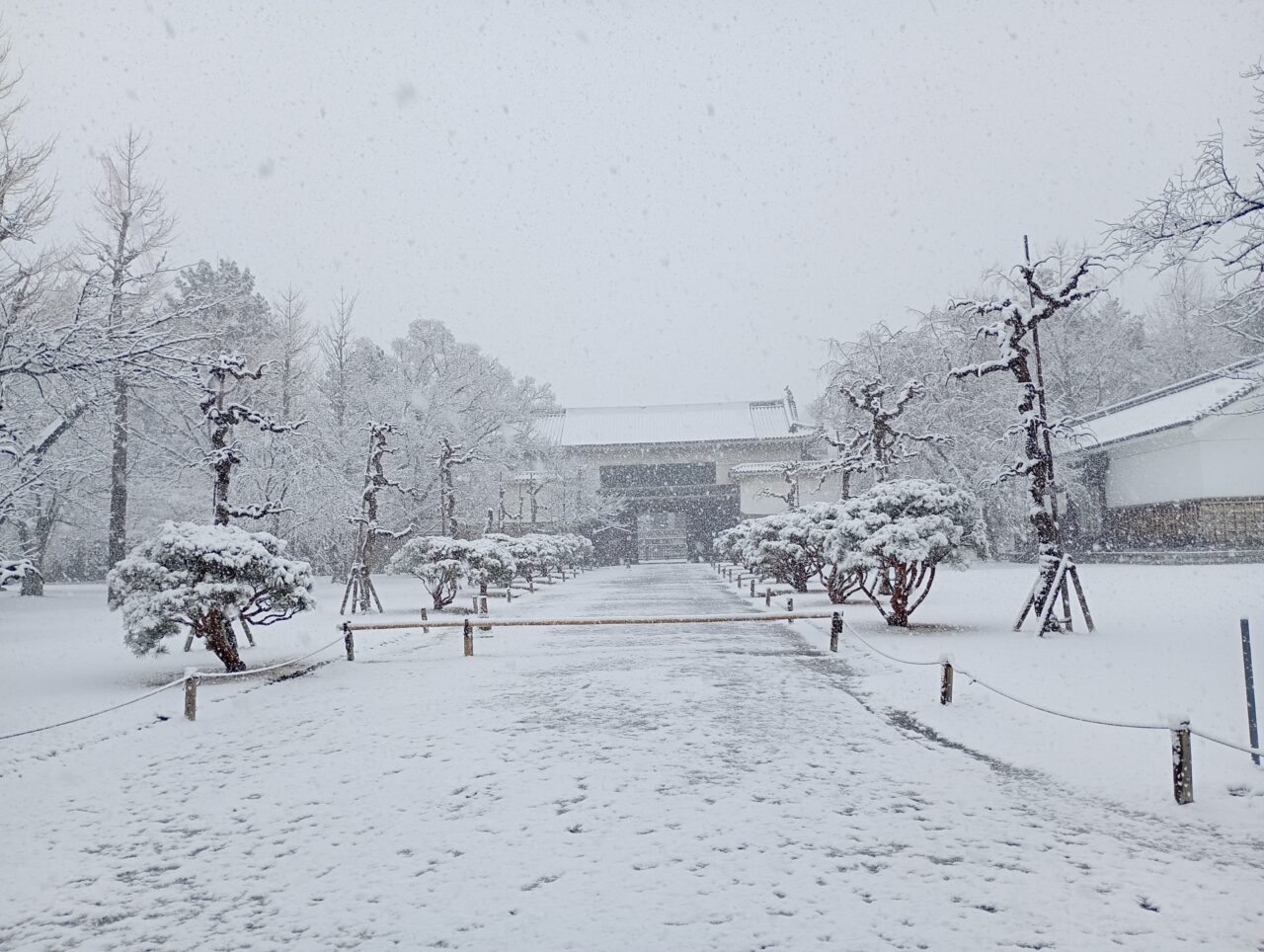 京都雪