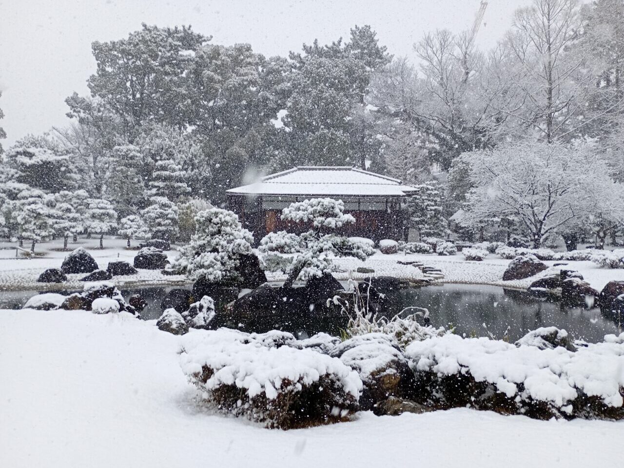 京都雪