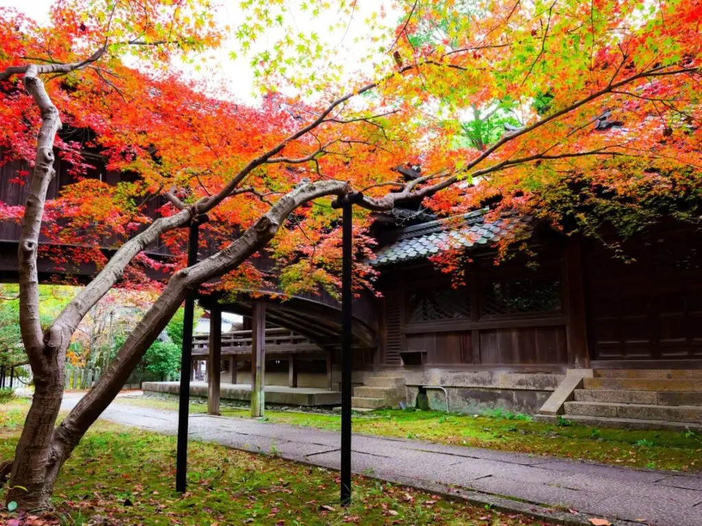 西山フォトコン